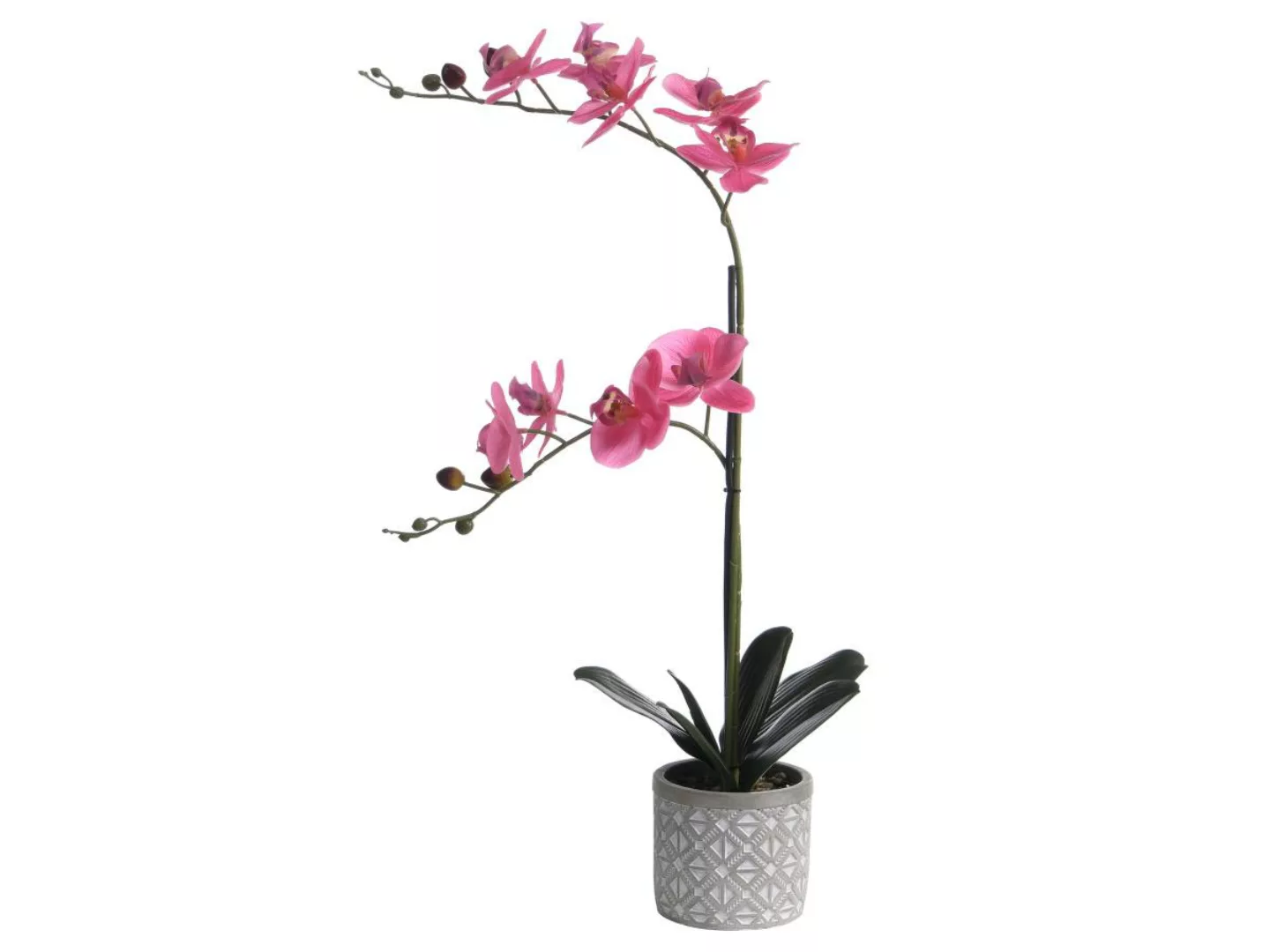 Kunstpflanze Orchidee mit Zementtopf - 55 x 30 cm - Rosa - RIOSANE günstig online kaufen