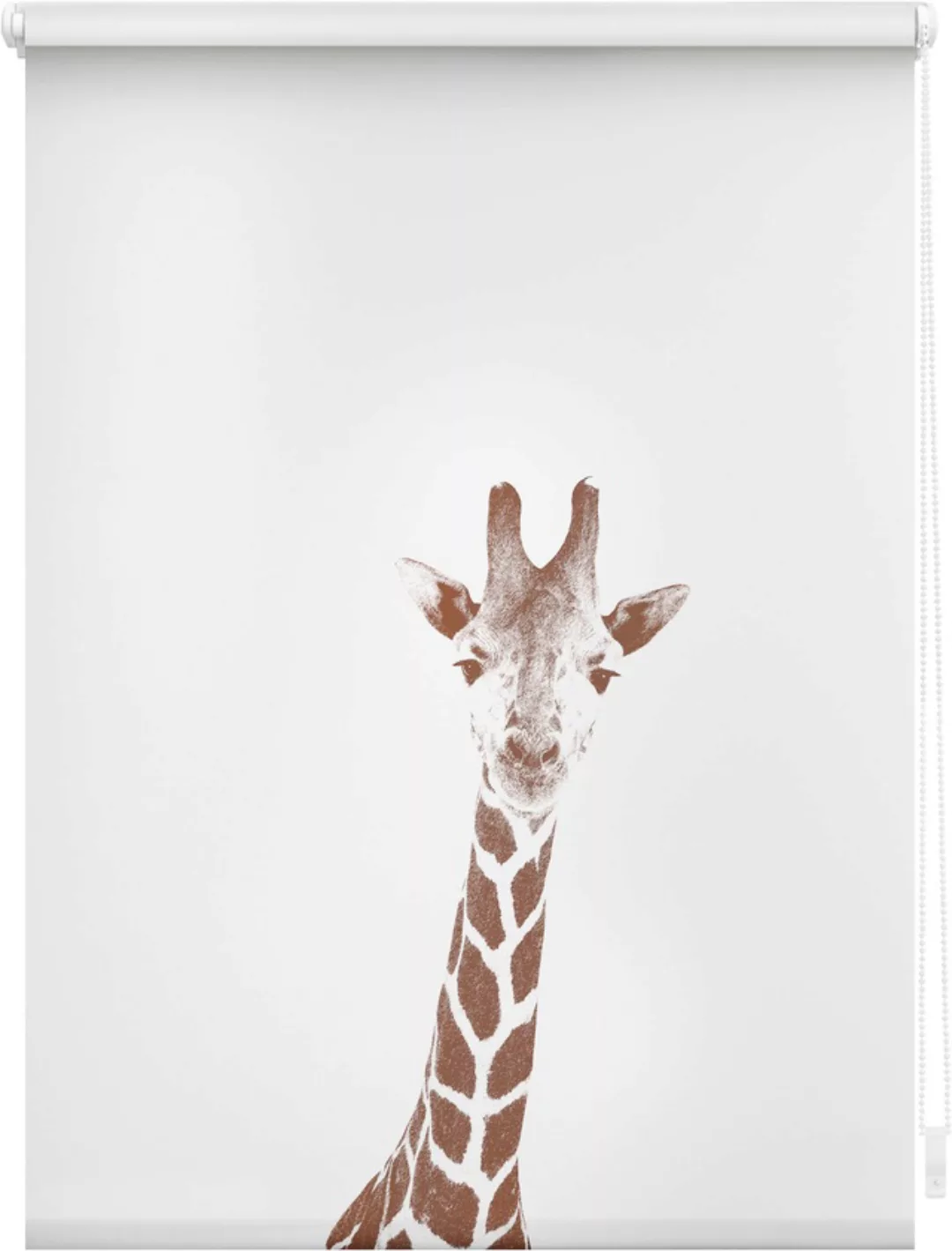 Verdunkelungsrollo Giraffe braun B/L: ca. 120x150 cm günstig online kaufen