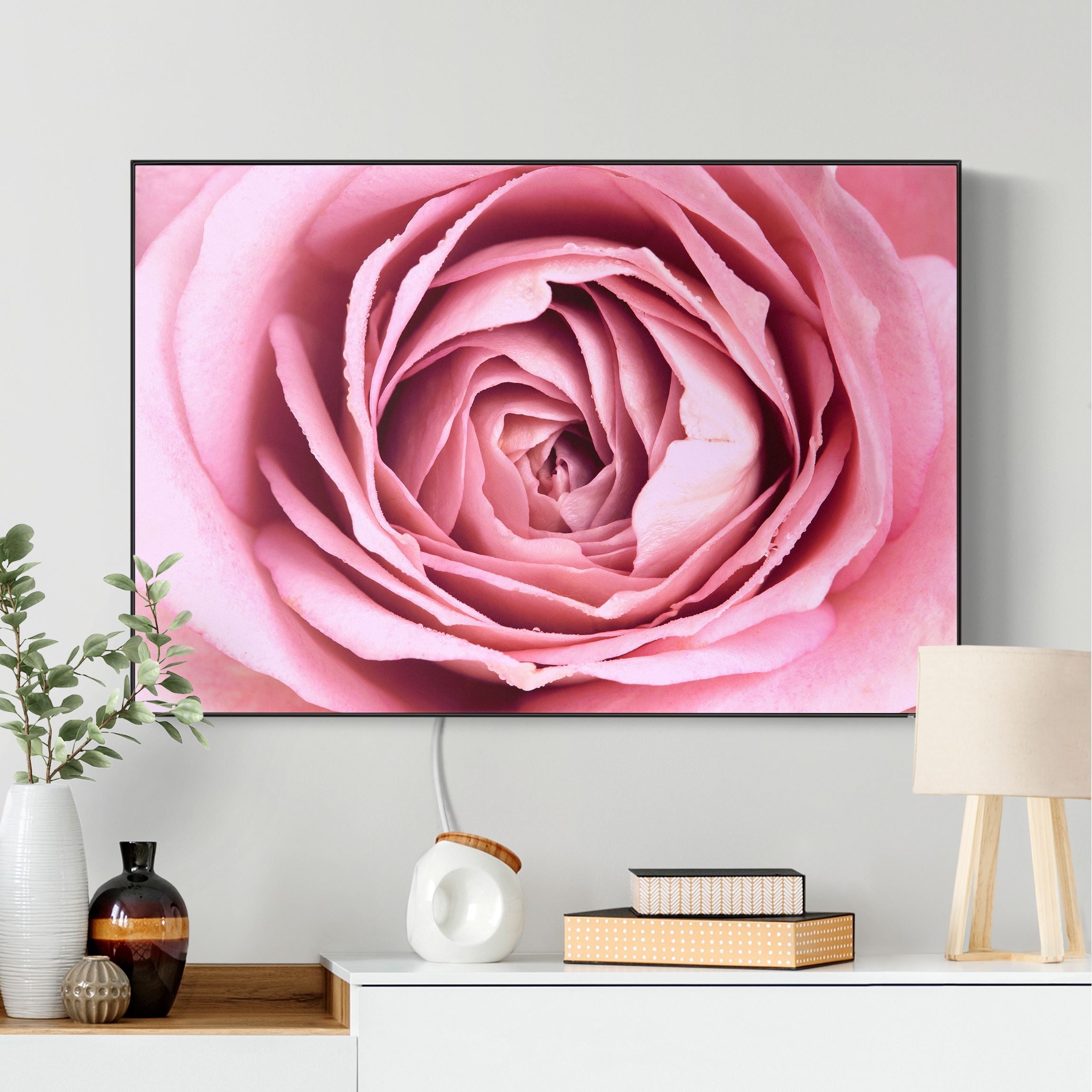 LED-Wechselbild Rosa Rosenblüte günstig online kaufen