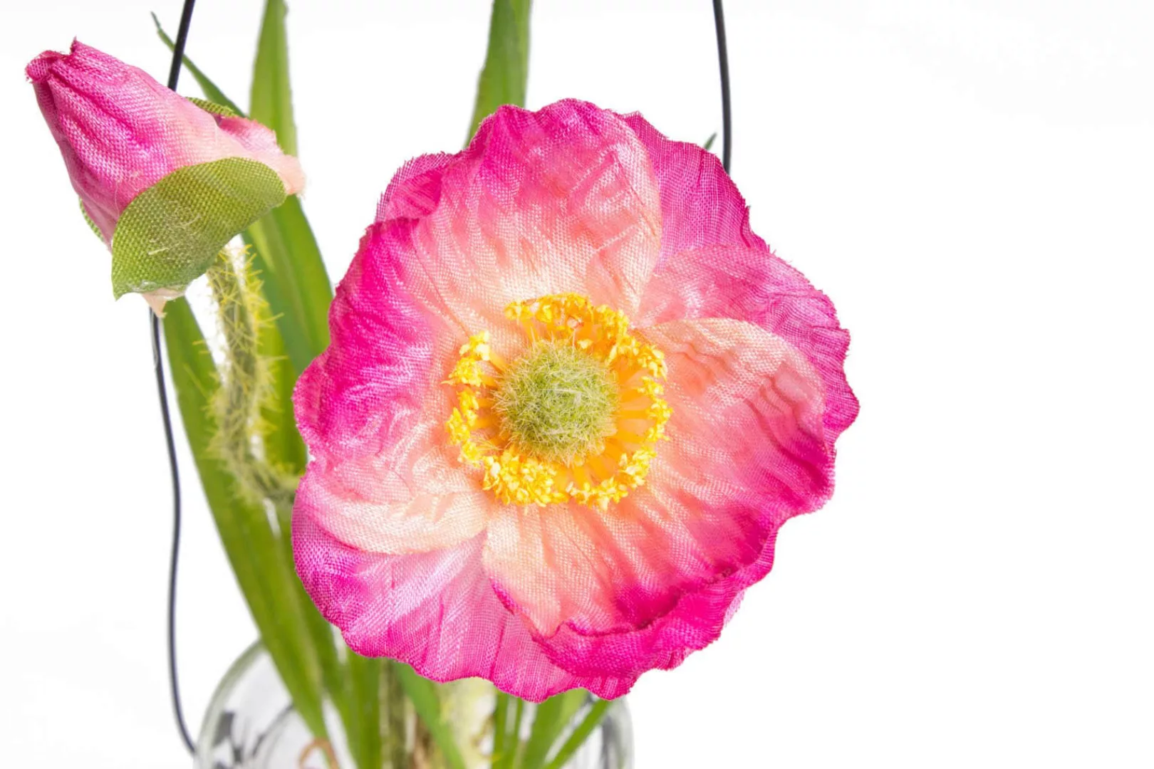 Botanic-Haus Kunstblume "Mohnblume im Glas" günstig online kaufen
