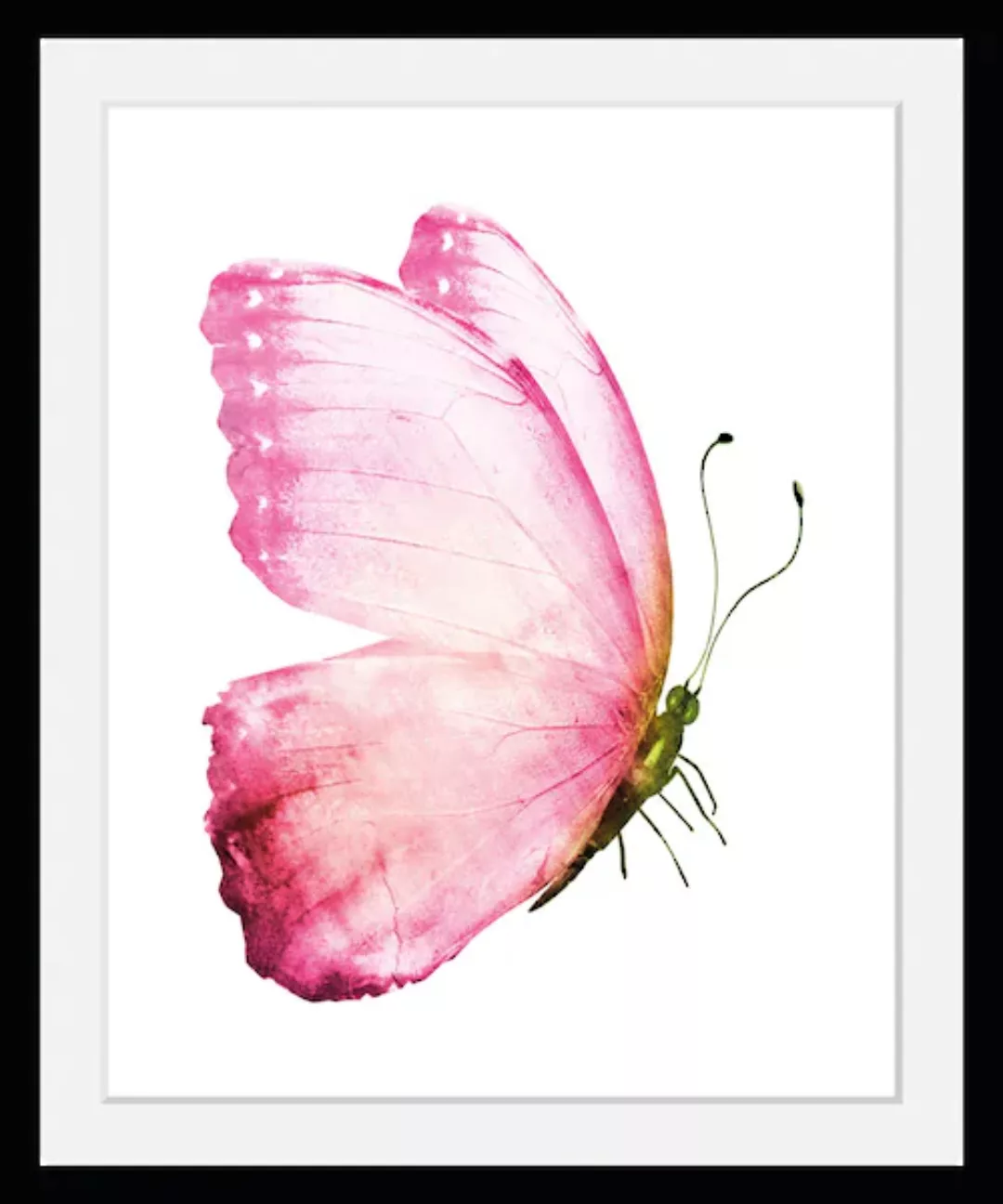 queence Bild "Apache", Schmetterlinge, (1 St.) günstig online kaufen