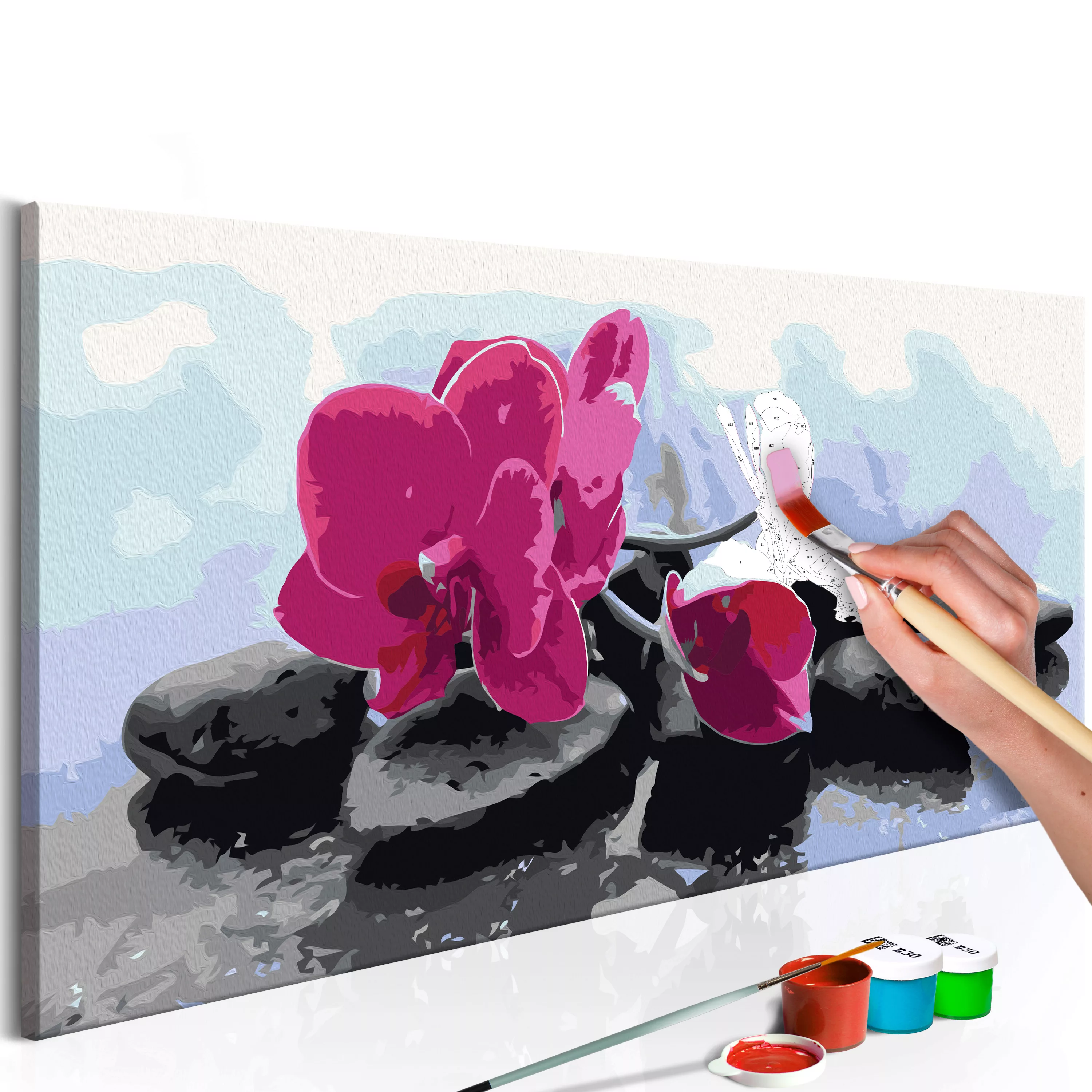 Malen Nach Zahlen - Orchidee Mit Zen Steinen günstig online kaufen