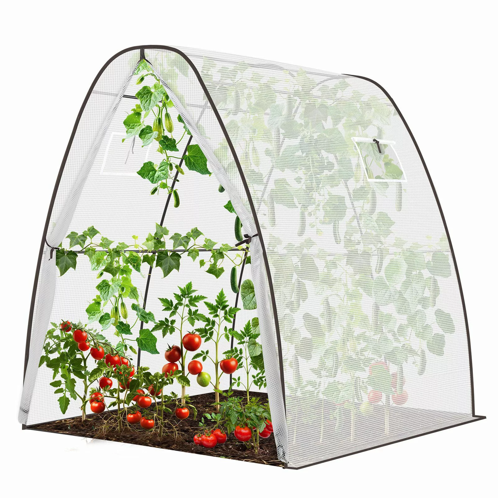 Sekey Foliengewächshaus 180 x 180 x günstig online kaufen