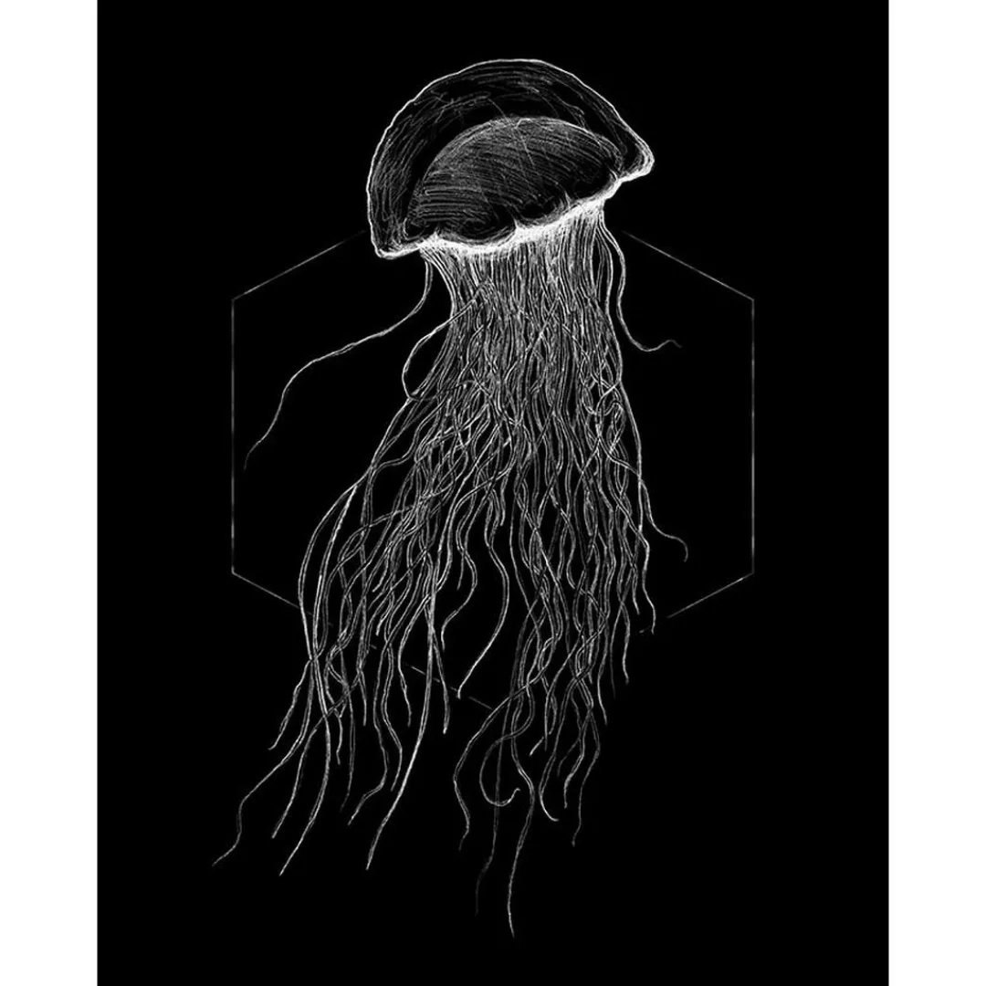 Komar Wandbild Jellyfish Black Tiere B/L: ca. 40x50 cm günstig online kaufen
