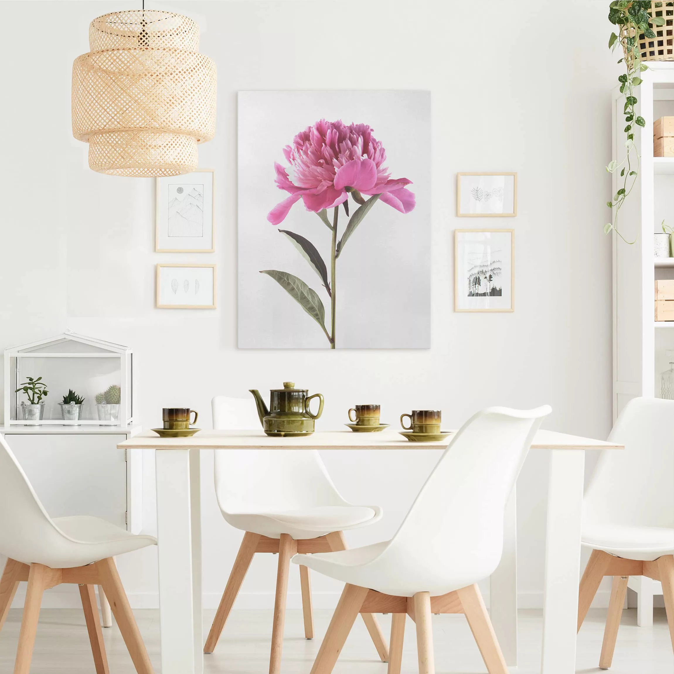Leinwandbild Blumen - Hochformat Blühende Pfingstrose Pink auf Weiß günstig online kaufen