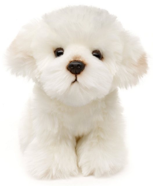 Uni-Toys Kuscheltier Malteser - 18 cm (Höhe) - Plüsch-Hund - Plüschtier, zu günstig online kaufen