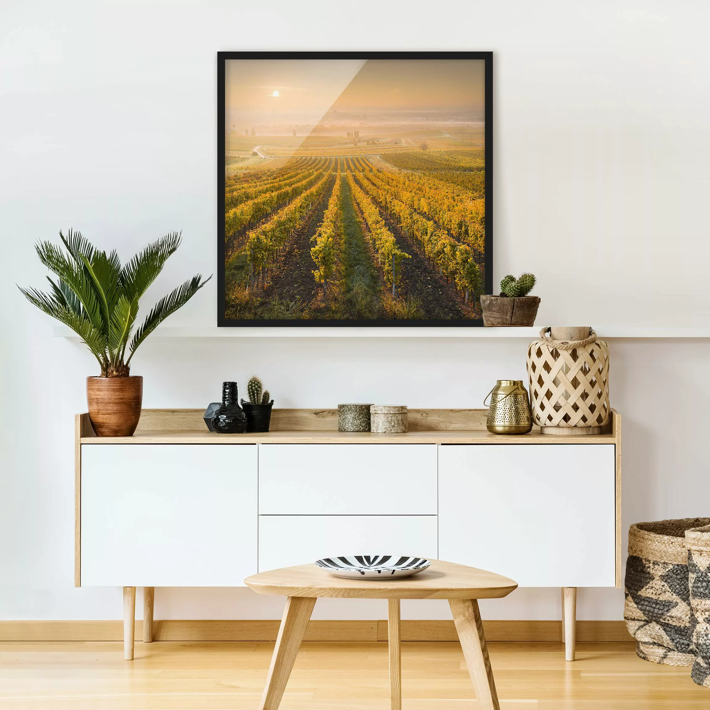 Bild mit Rahmen Natur & Landschaft - Quadrat Herbstliche Weinberge bei Wien günstig online kaufen