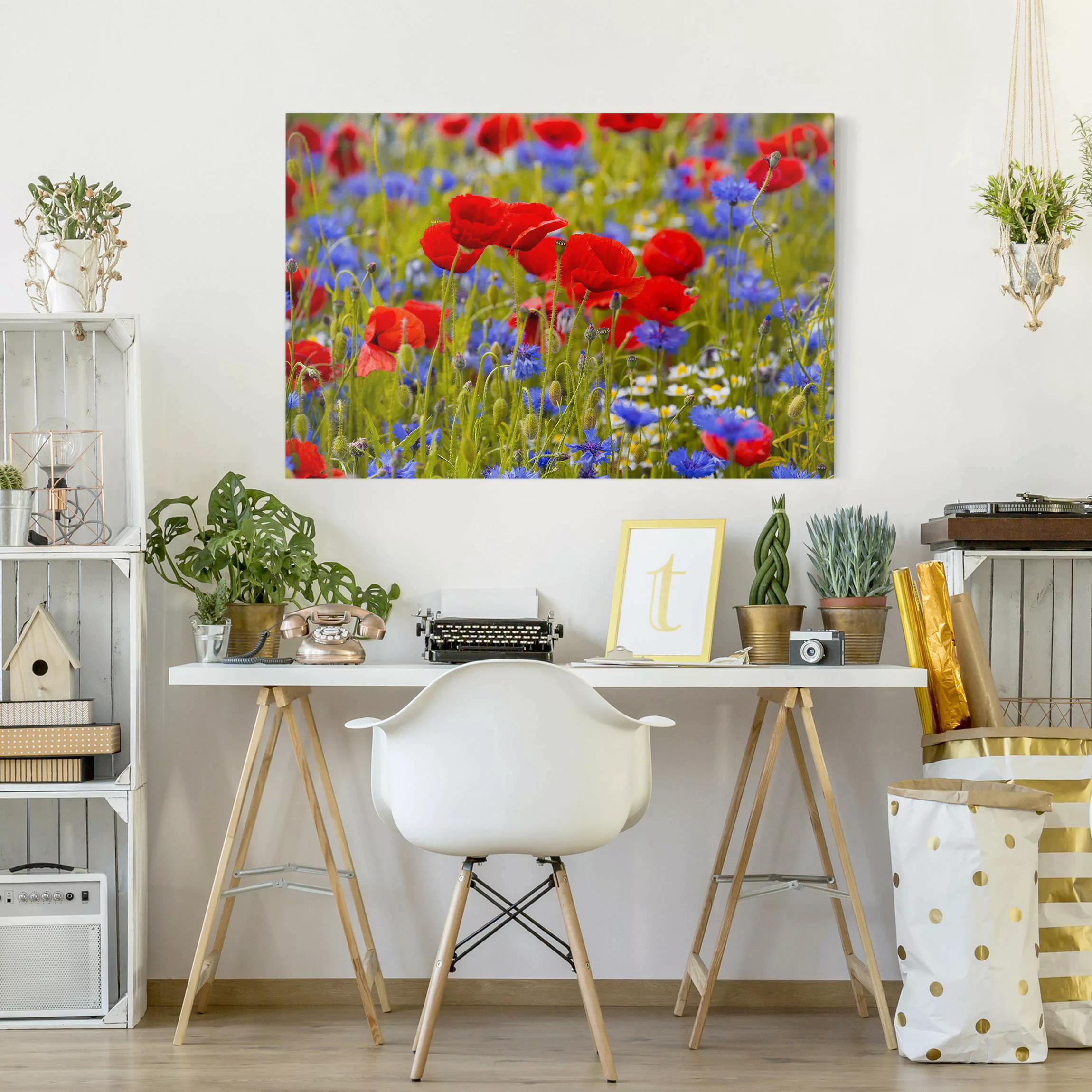Leinwandbild Sommerwiese mit Mohn und Kornblumen günstig online kaufen