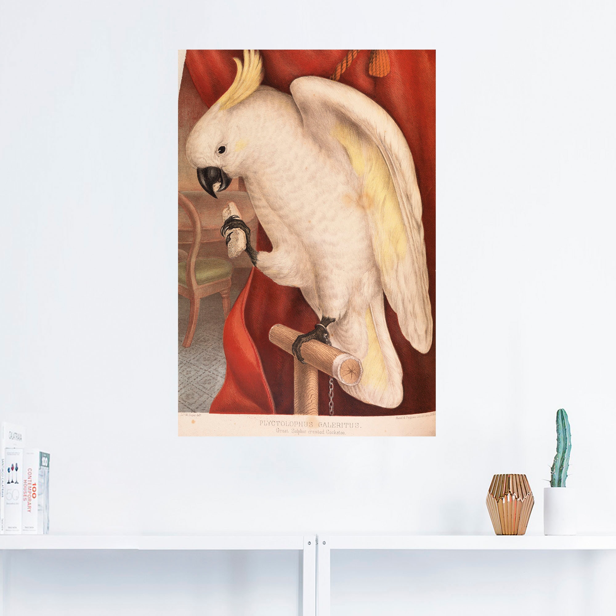 Artland Wandfolie "Großer Gelbhaubenkakadu", Vogelbilder, (1 St.), selbstkl günstig online kaufen