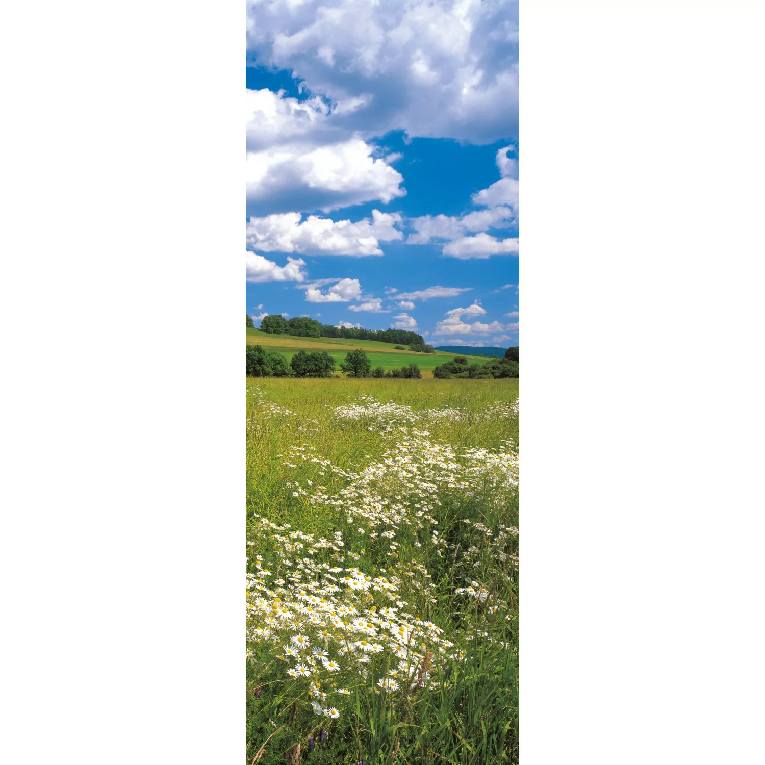 Komar Vliestapete »Meadow«, 100x280 cm (Breite x Höhe), Vliestapete, 100 cm günstig online kaufen