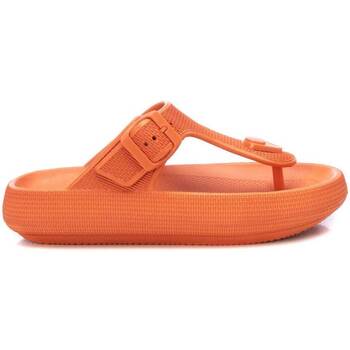 Xti  Zehensandalen 14146906 günstig online kaufen