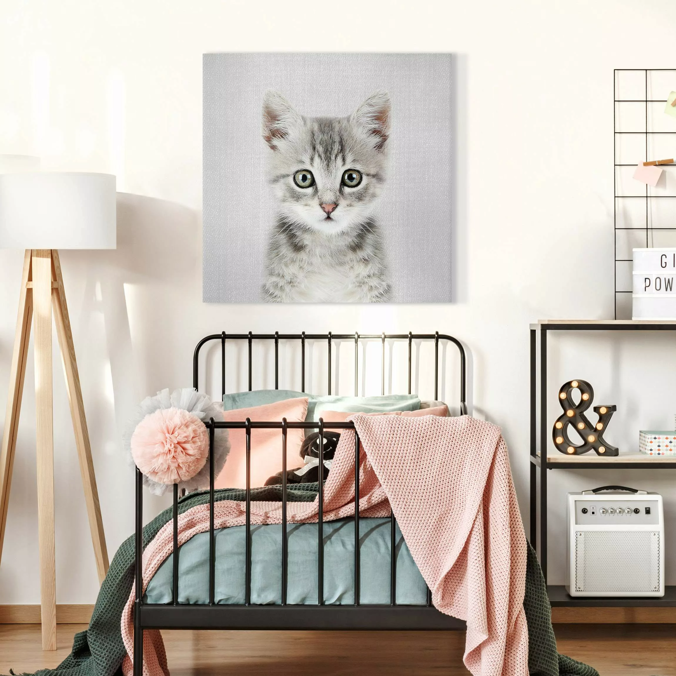 Leinwandbild Baby Katze Killi günstig online kaufen
