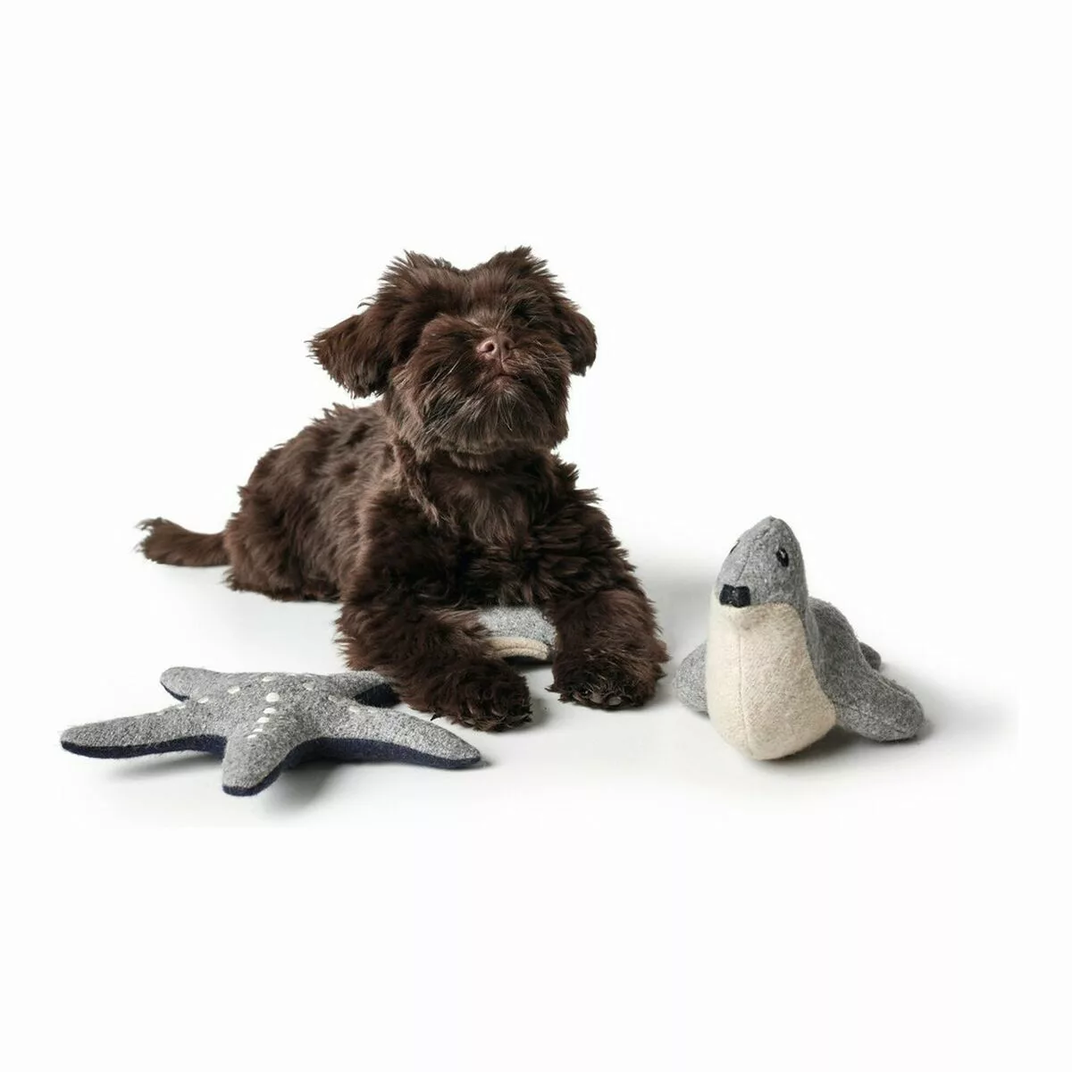 Hundespielzeug Hunter Skagen Grau Robbe günstig online kaufen