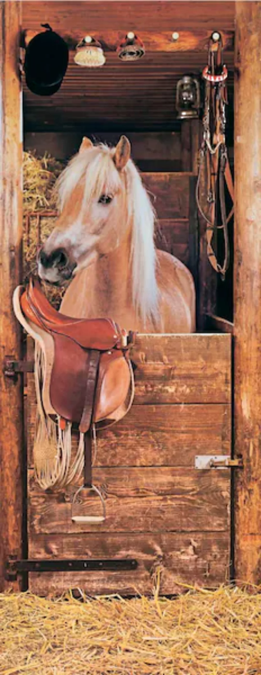 Papermoon Fototapete »Horse in Stable - Türtapete«, matt günstig online kaufen