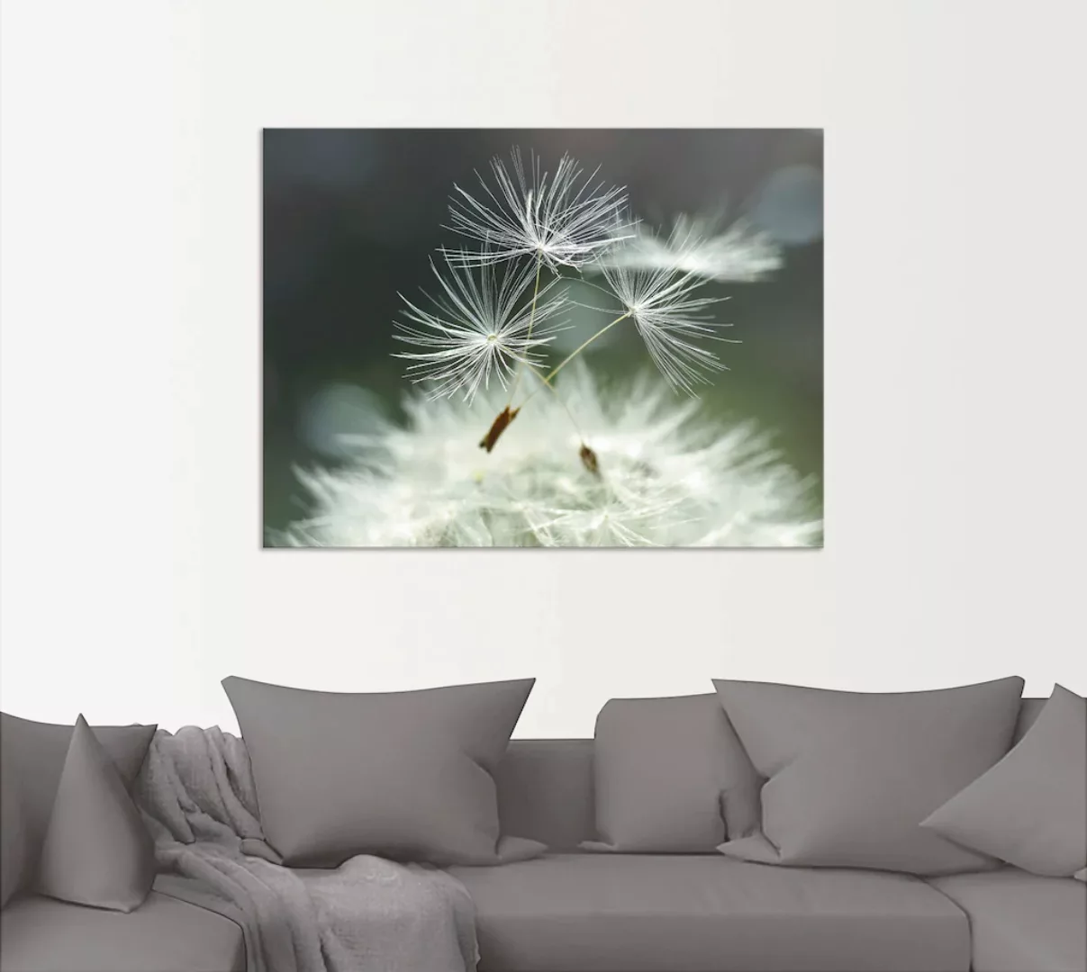 Artland Wandbild »Pusteblume Facility«, Blumen, (1 St.), als Alubild, Outdo günstig online kaufen