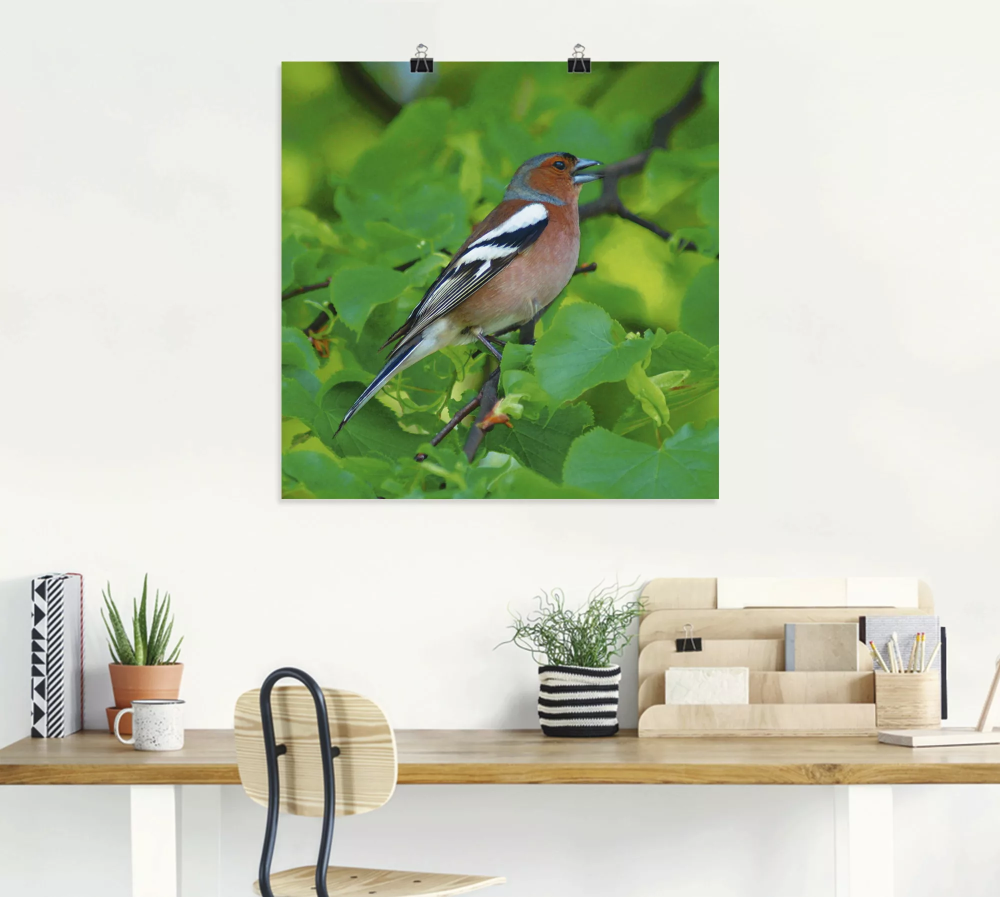 Artland Wandbild "Buchfink Lied", Vögel, (1 St.), als Leinwandbild, Poster günstig online kaufen