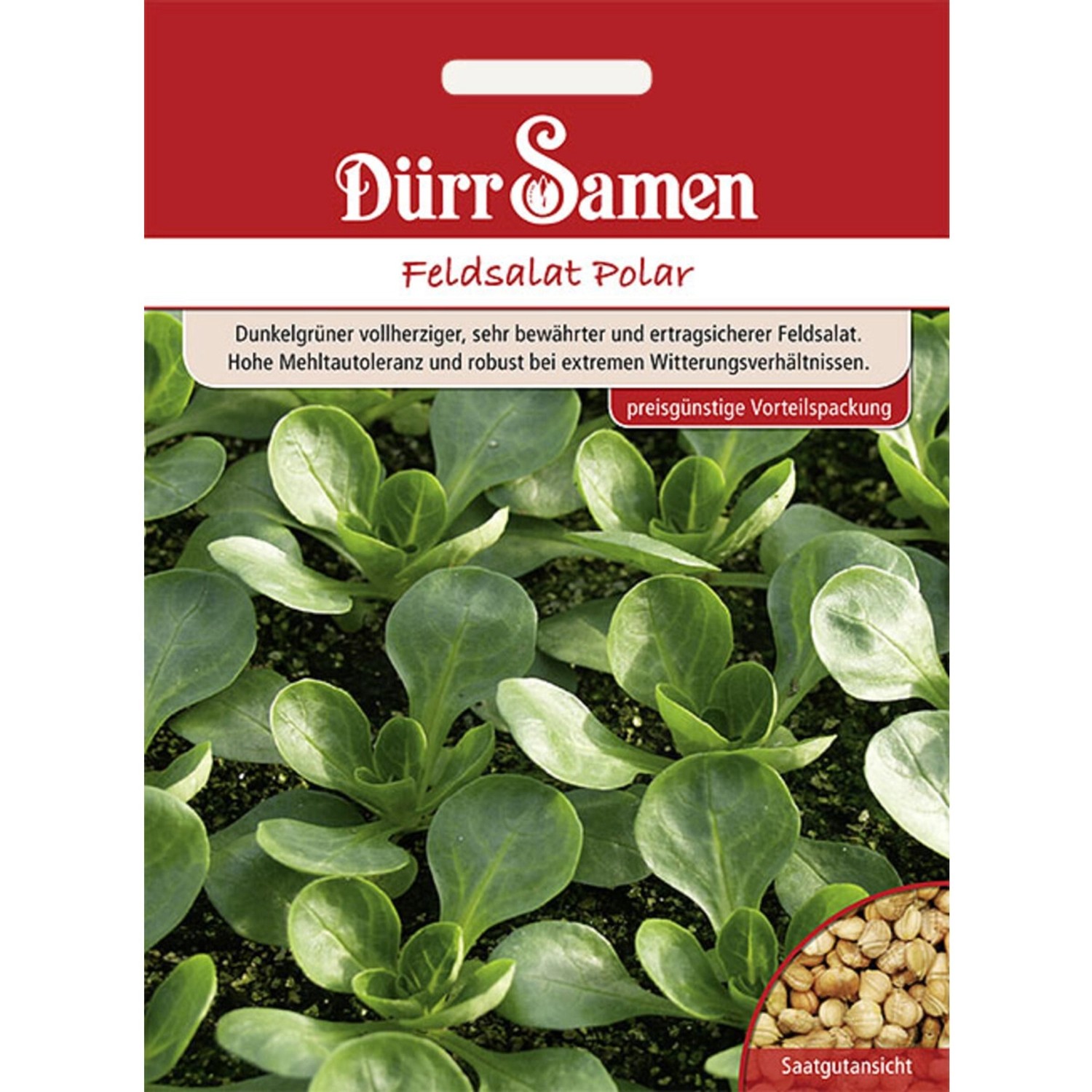 Dürr Samen Feldsalat Polar Saatgut günstig online kaufen
