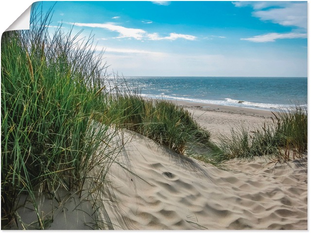 Artland Wandbild "Dünenlandschaft im Sommer an der Nordsee", Strand, (1 St. günstig online kaufen