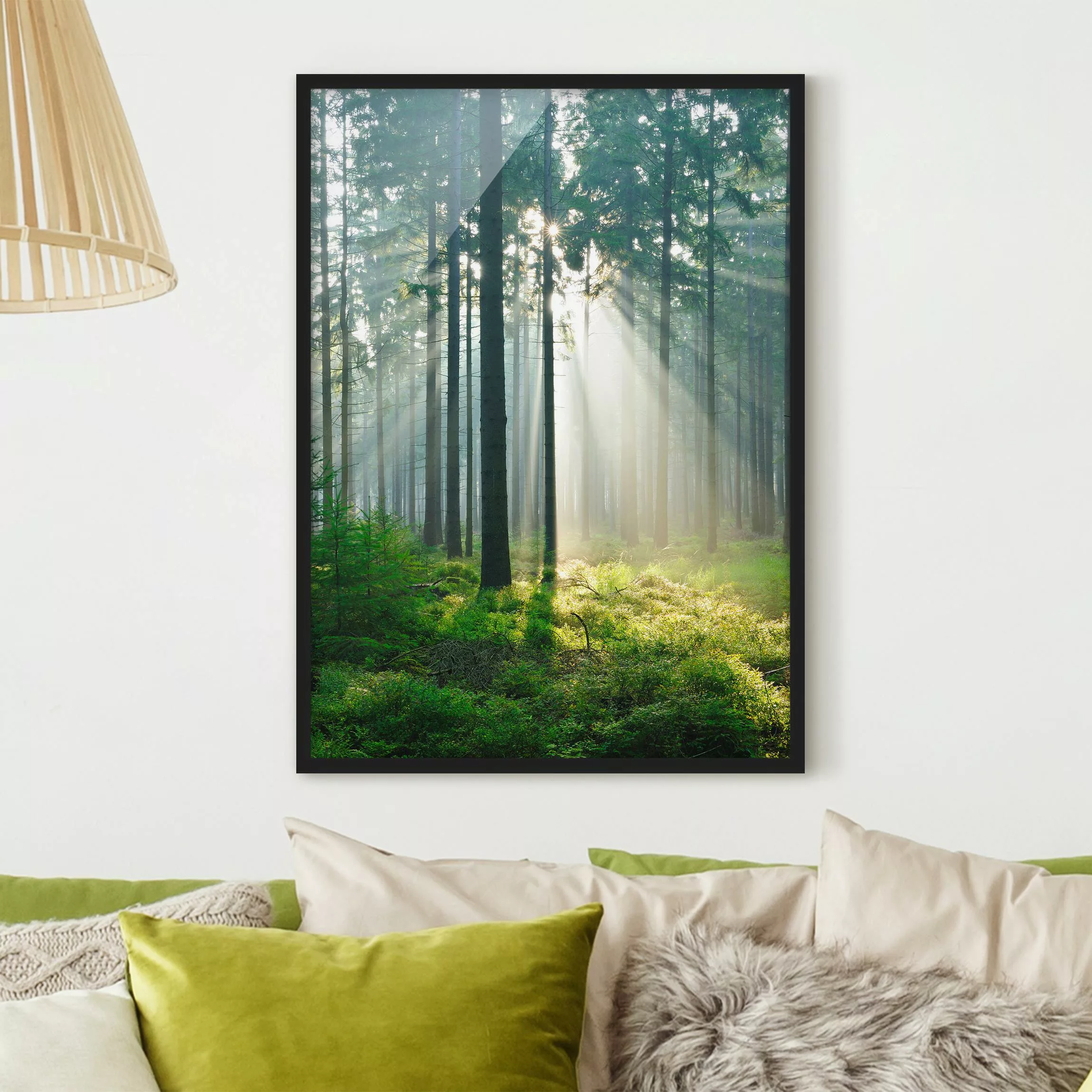 Bild mit Rahmen Natur & Landschaft - Hochformat Enlightened Forest günstig online kaufen