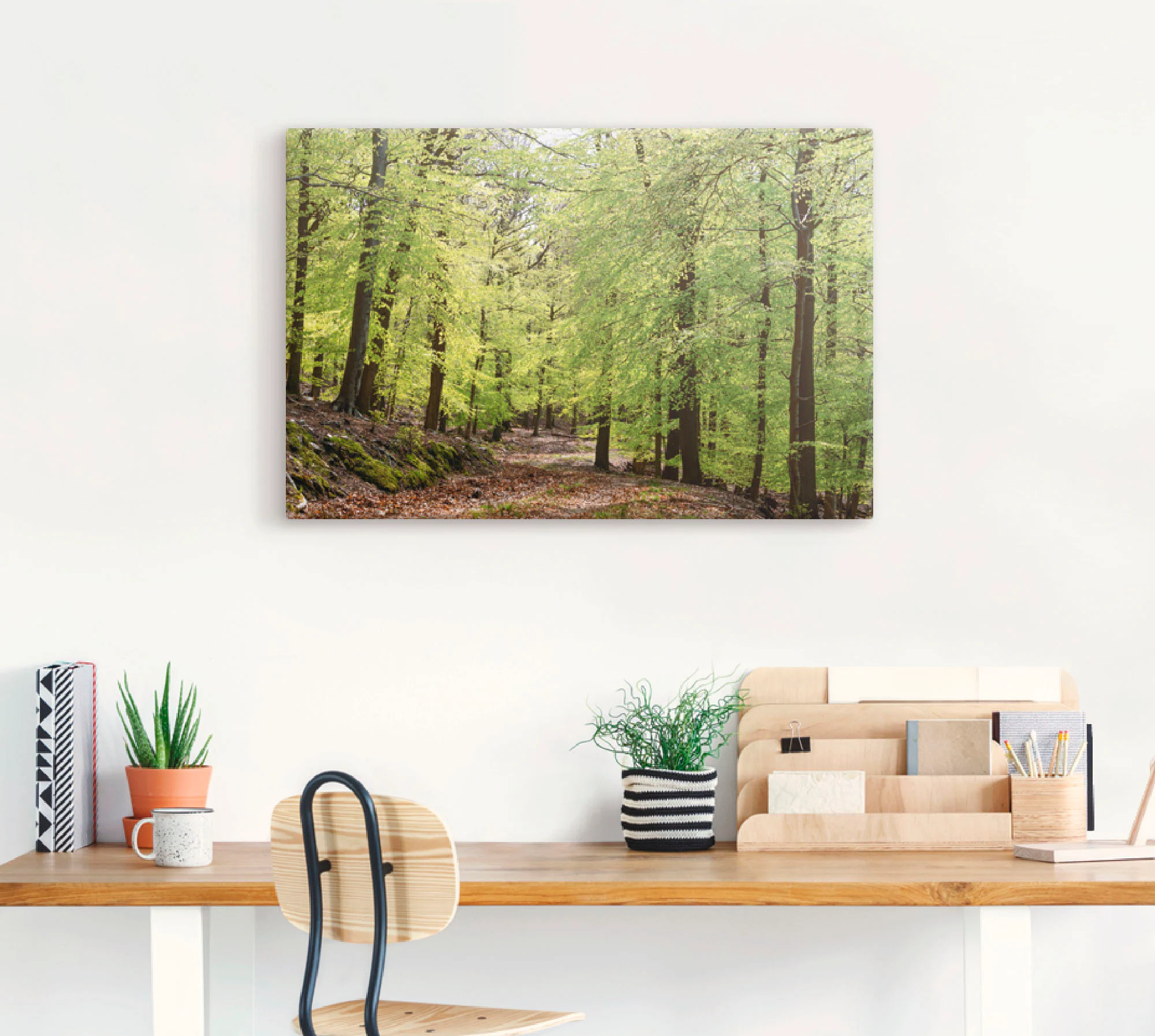 Artland Wandbild "Die Buchen im Frühling", Wald, (1 St.), als Alubild, Outd günstig online kaufen