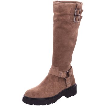 Unisa  Stiefel Stiefeletten Jecis-BS-taupe günstig online kaufen