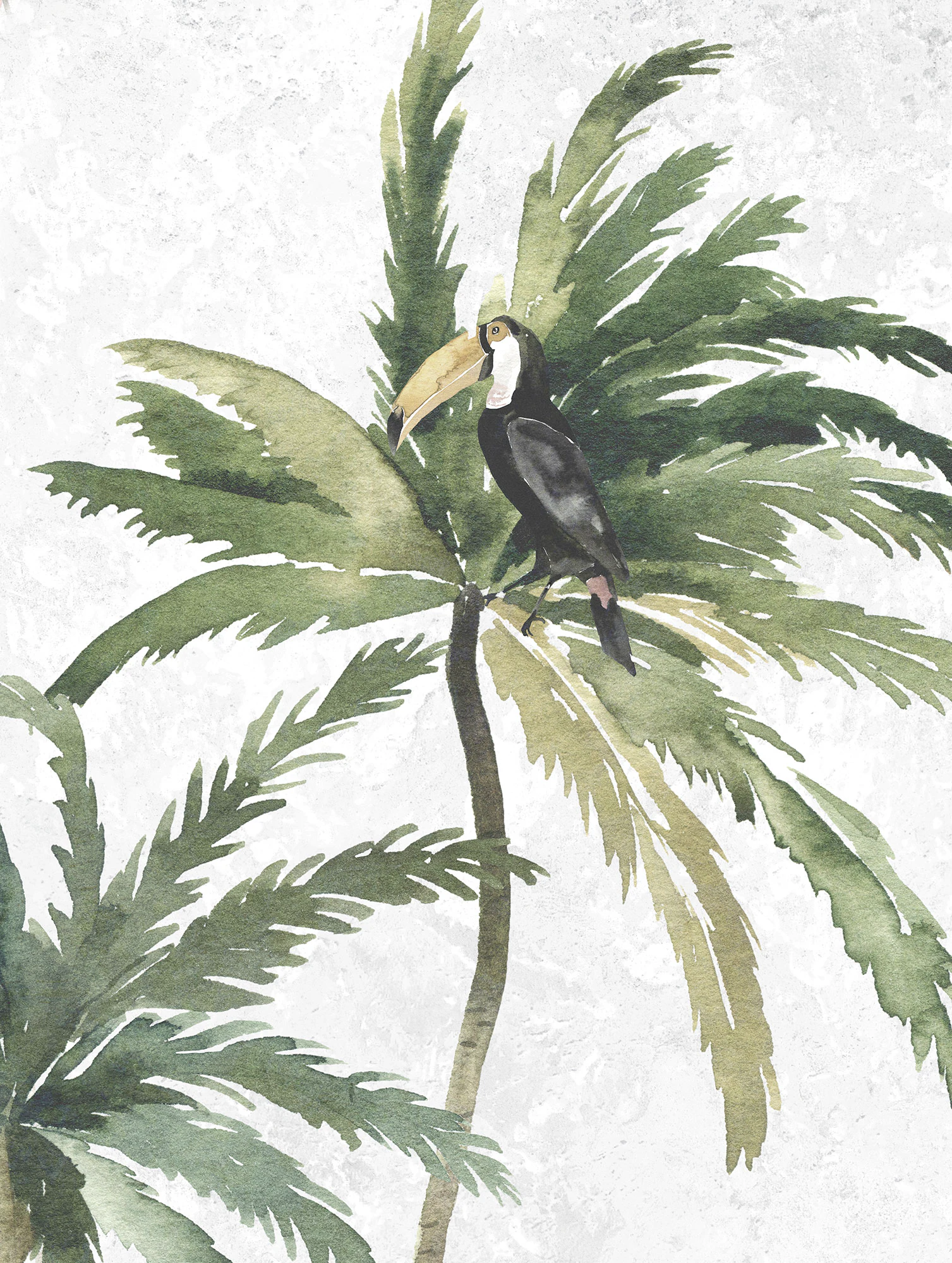 Komar Bild "Tropical Toucan", Natur, (1 St.), Wandbild zur Dekoration - ohn günstig online kaufen