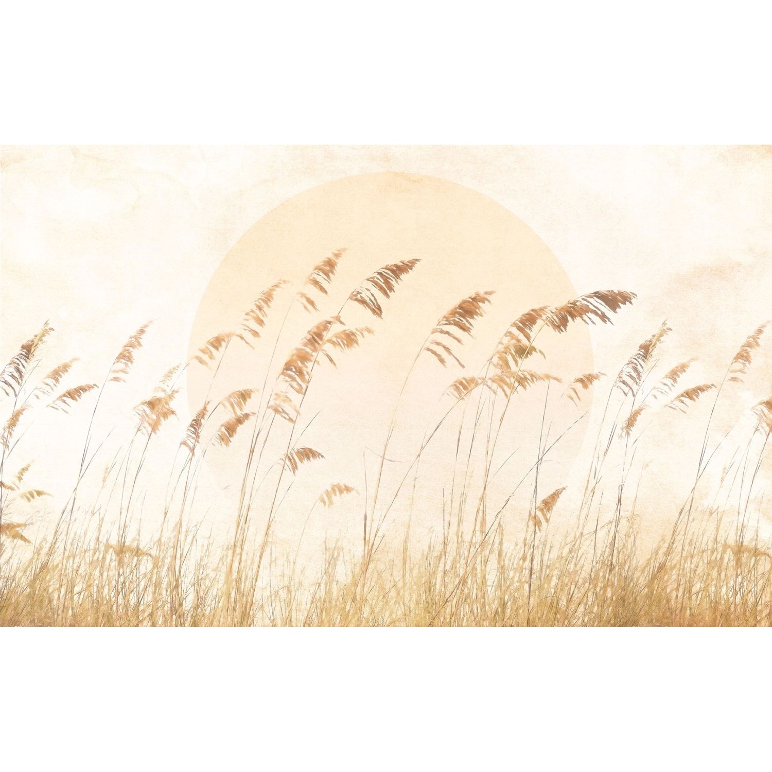 Komar Fototapete Dune Grass Sandbeige 400 x 250 cm 611233 günstig online kaufen