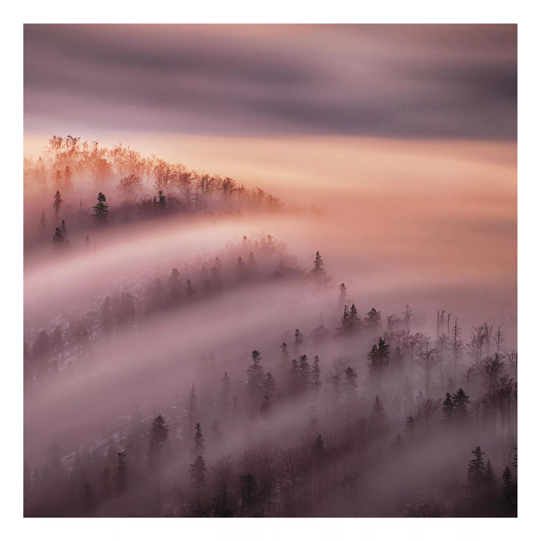 Alu-Dibond Bild Natur & Landschaft - Quadrat Nebelflut günstig online kaufen