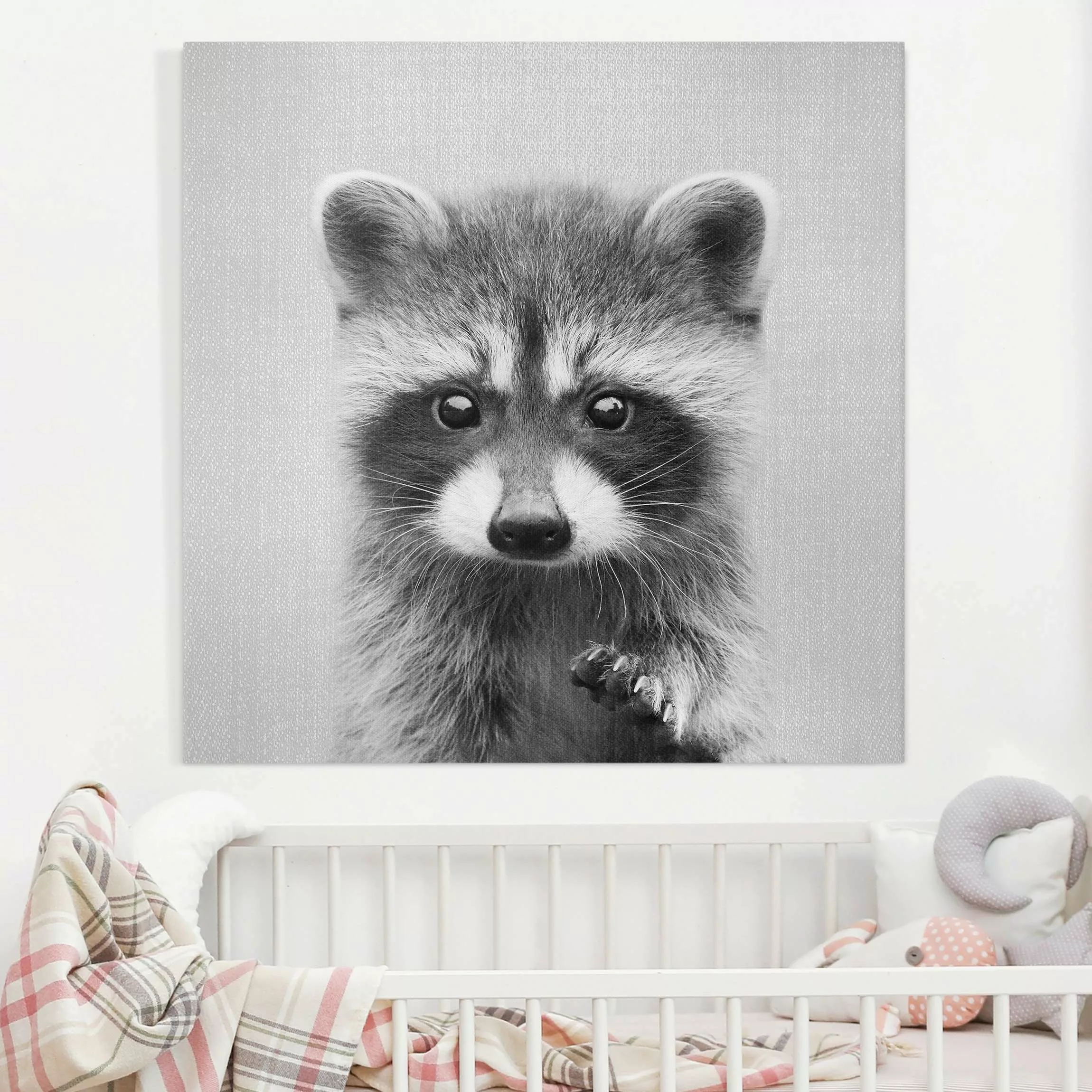 Leinwandbild Baby Waschbär Wicky Schwarz Weiß günstig online kaufen