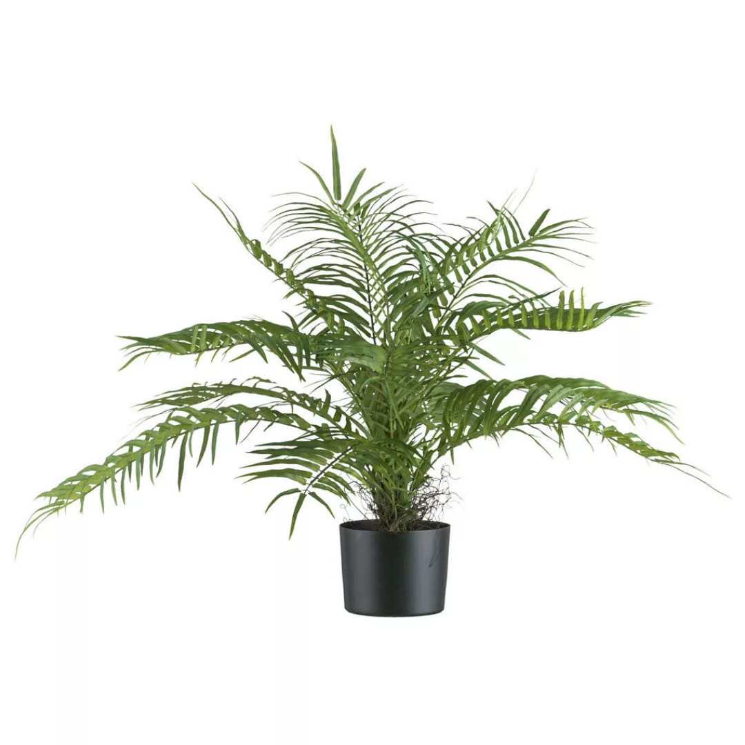 Kunstpflanze Areca Palmbusch grün Kunststoff B/H/L: ca. 20x68x20 cm günstig online kaufen