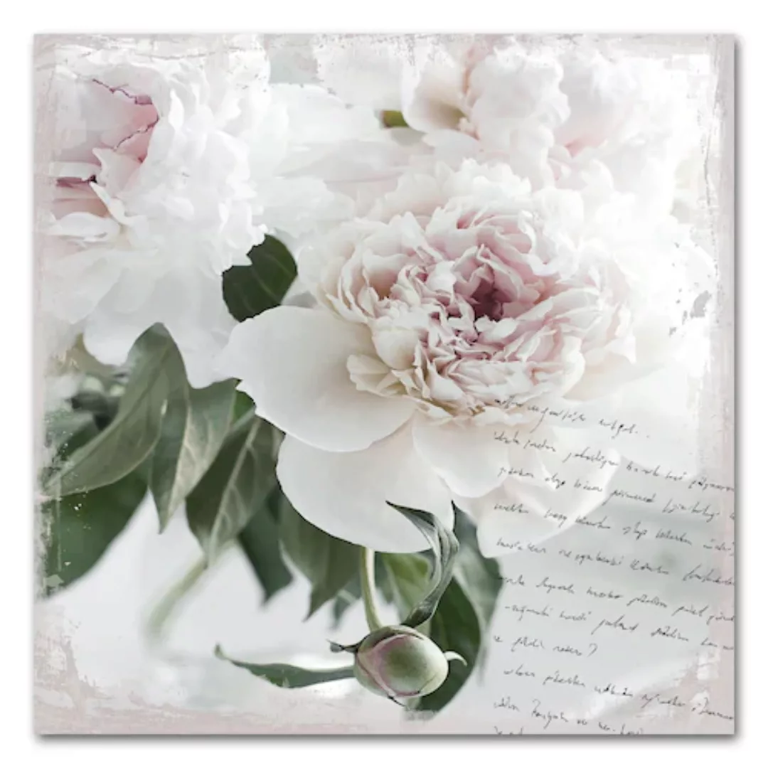 queence Acrylglasbild "Poesie&Rose" günstig online kaufen
