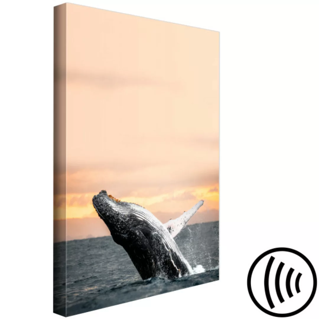 Leinwandbild Auftauchender Buckelwal auf dem Hintergrund der untergehenden günstig online kaufen
