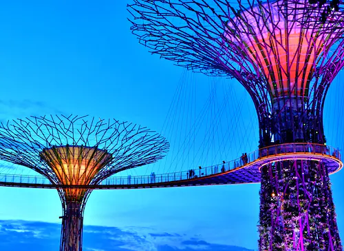 Papermoon Fototapete »Singapore Bay Supertrees« günstig online kaufen