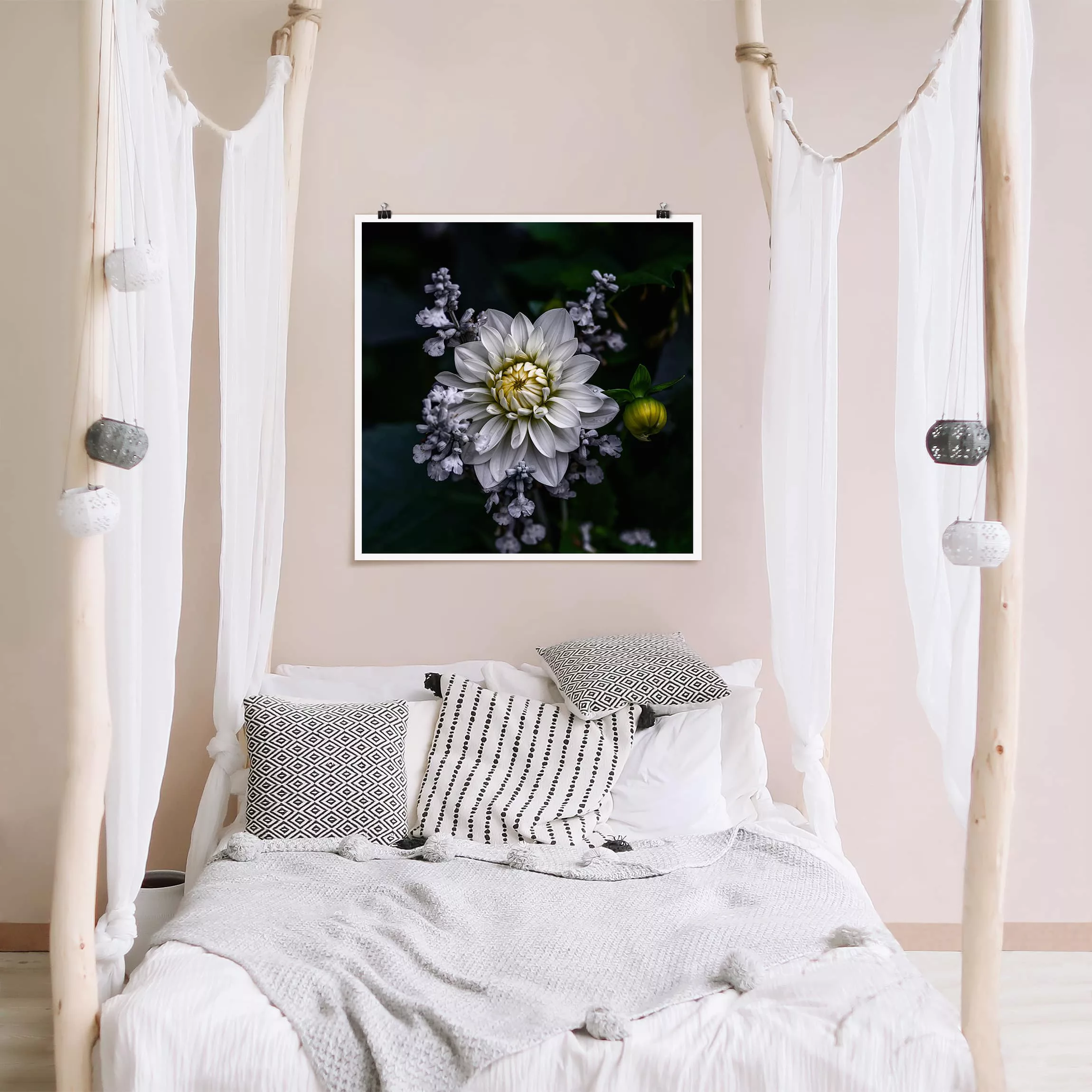 Poster Blumen - Quadrat Weiße Dahlie günstig online kaufen