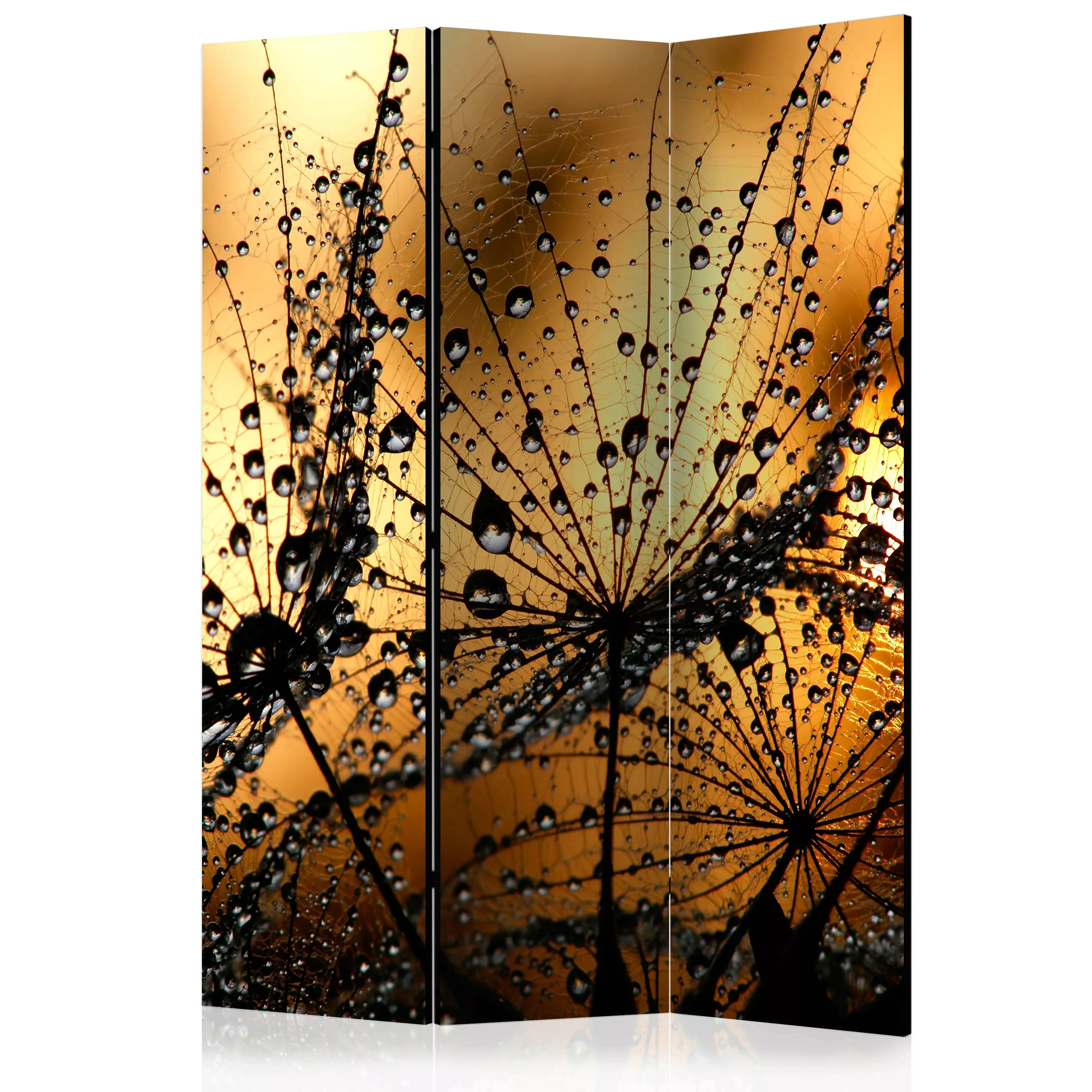 3-teiliges Paravent - Dandelions In The Rain [room Dividers] günstig online kaufen