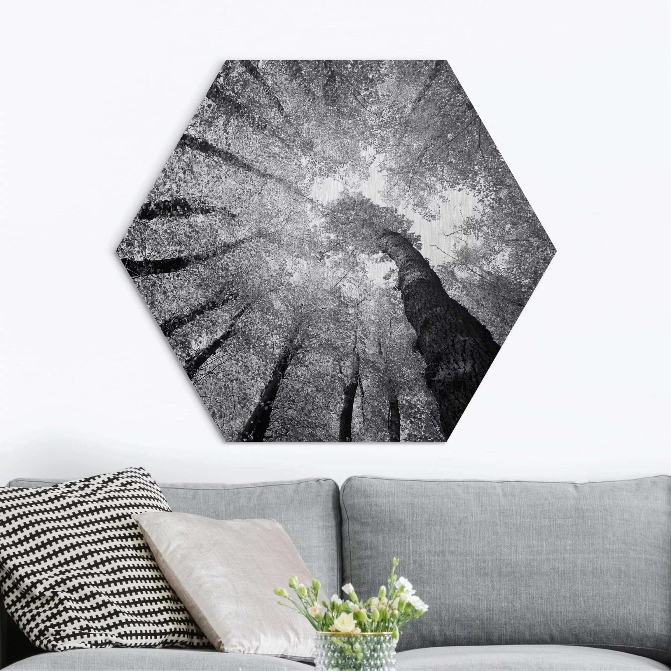 Hexagon-Alu-Dibond Bild Natur & Landschaft Bäume des Lebens II günstig online kaufen