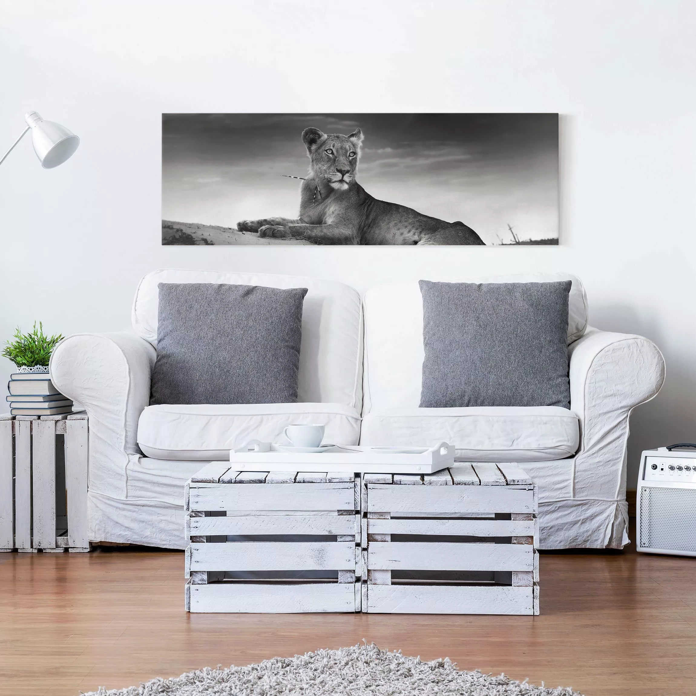 Leinwandbild Tiere - Panorama Resting Lion günstig online kaufen