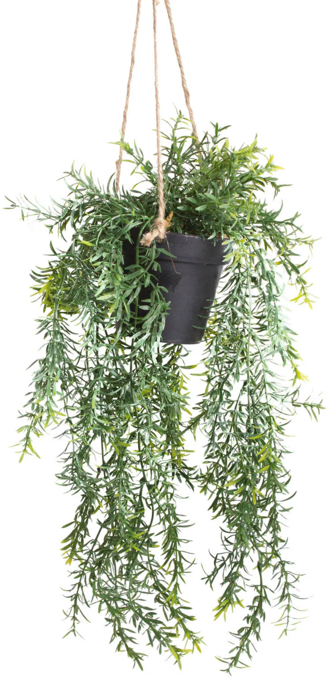 Emerald Kunstpflanze Asparagus Busch Hängend Im Topf 50 Cm günstig online kaufen