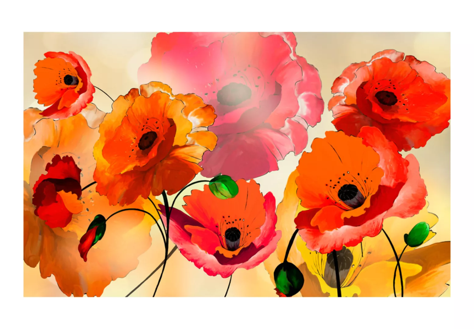 Fototapete - Velvet Poppies günstig online kaufen