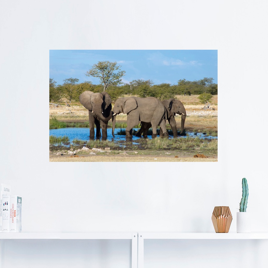 Artland Wandbild »Afrikanischer Elefant EtoshaNationalpark«, Elefanten Bild günstig online kaufen