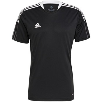adidas  T-Shirt Tiro 21 Training Tshirt günstig online kaufen