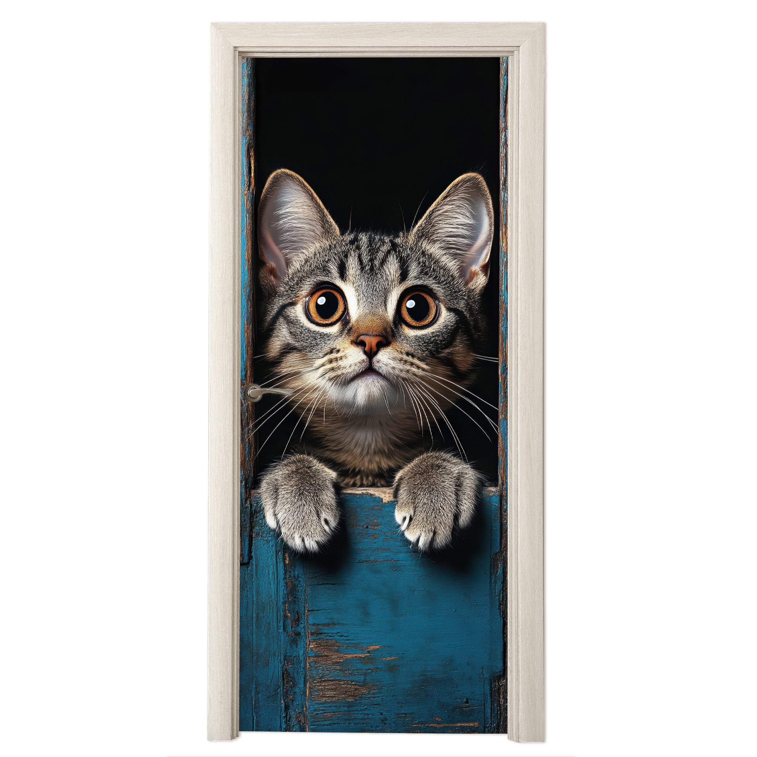 MuchoWow Türtapete Katze - Durchsichtig - günstig online kaufen