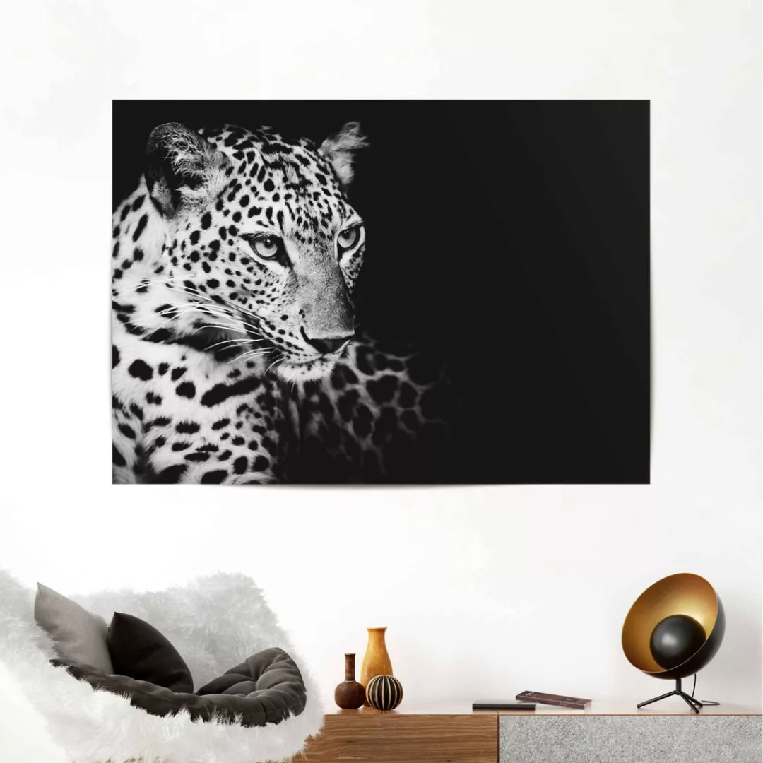 Reinders Poster "Leopard" günstig online kaufen