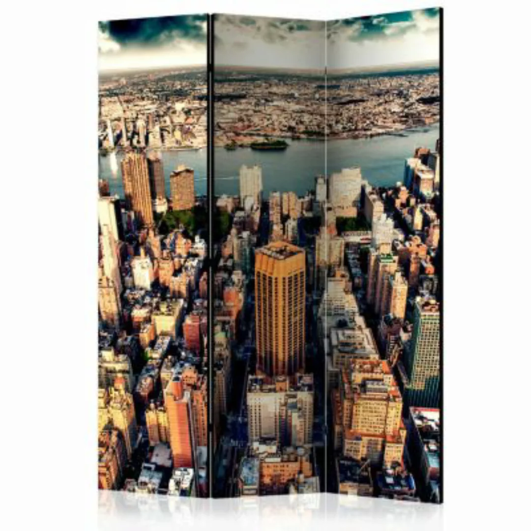 artgeist Paravent Bird's Eye View of New York [Room Dividers] mehrfarbig Gr günstig online kaufen