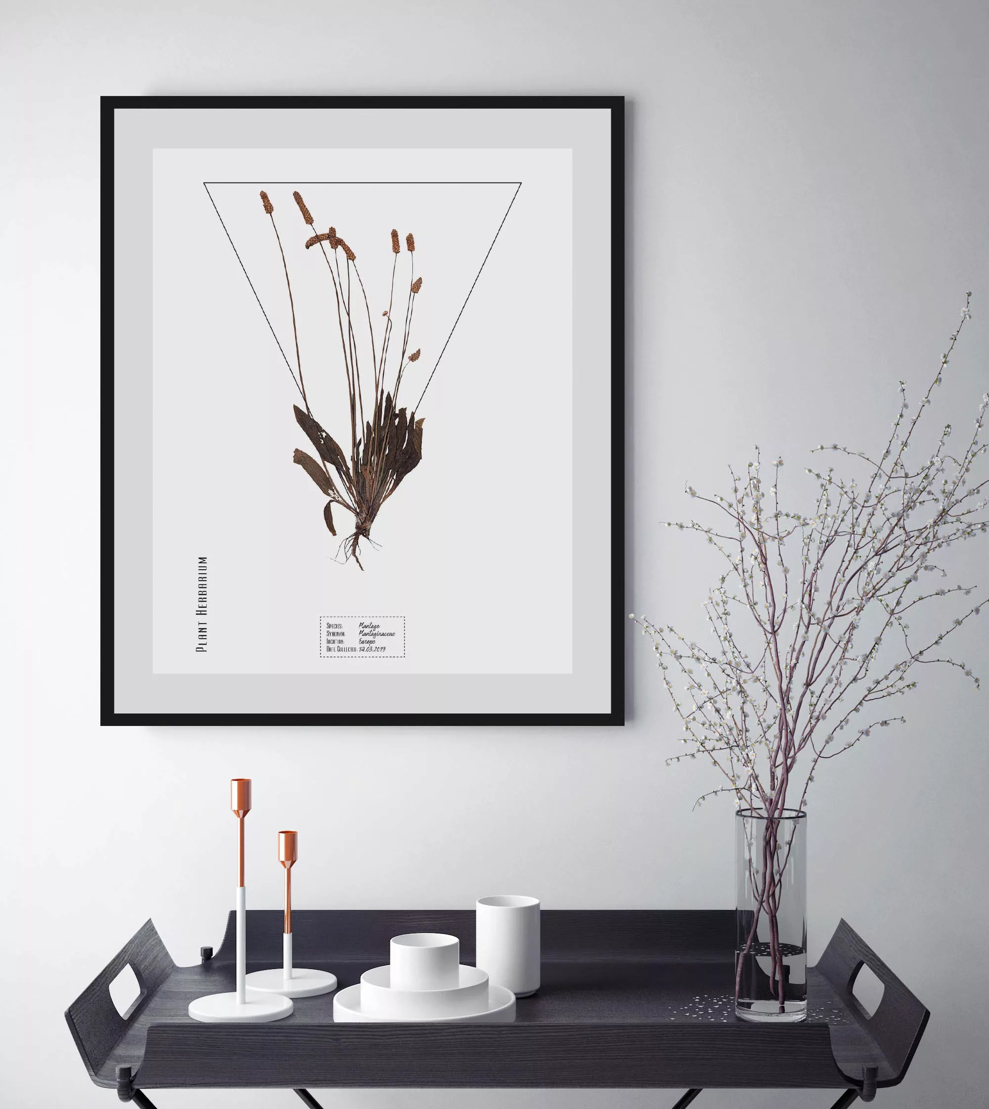 queence Bild »Plantaginaceae«, Pflanzen-Pflanzenbilder-Schriftzug, (1 St.), günstig online kaufen
