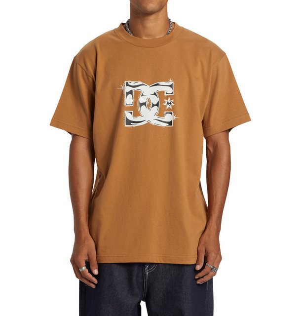 DC Shoes T-Shirt DC Star Classic günstig online kaufen