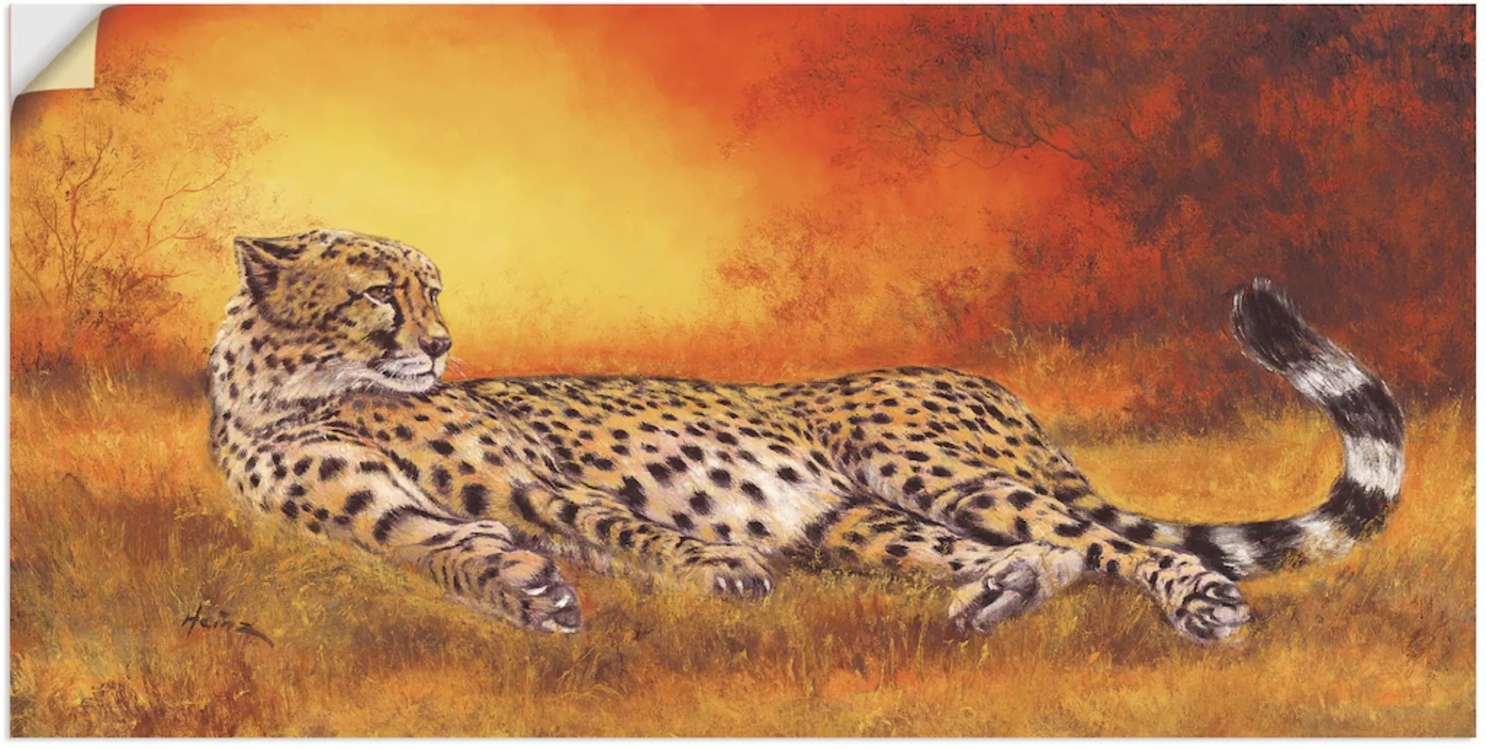 Artland Wandbild "Gepard", Geparden Bilder, (1 St.), als Alubild, Outdoorbi günstig online kaufen