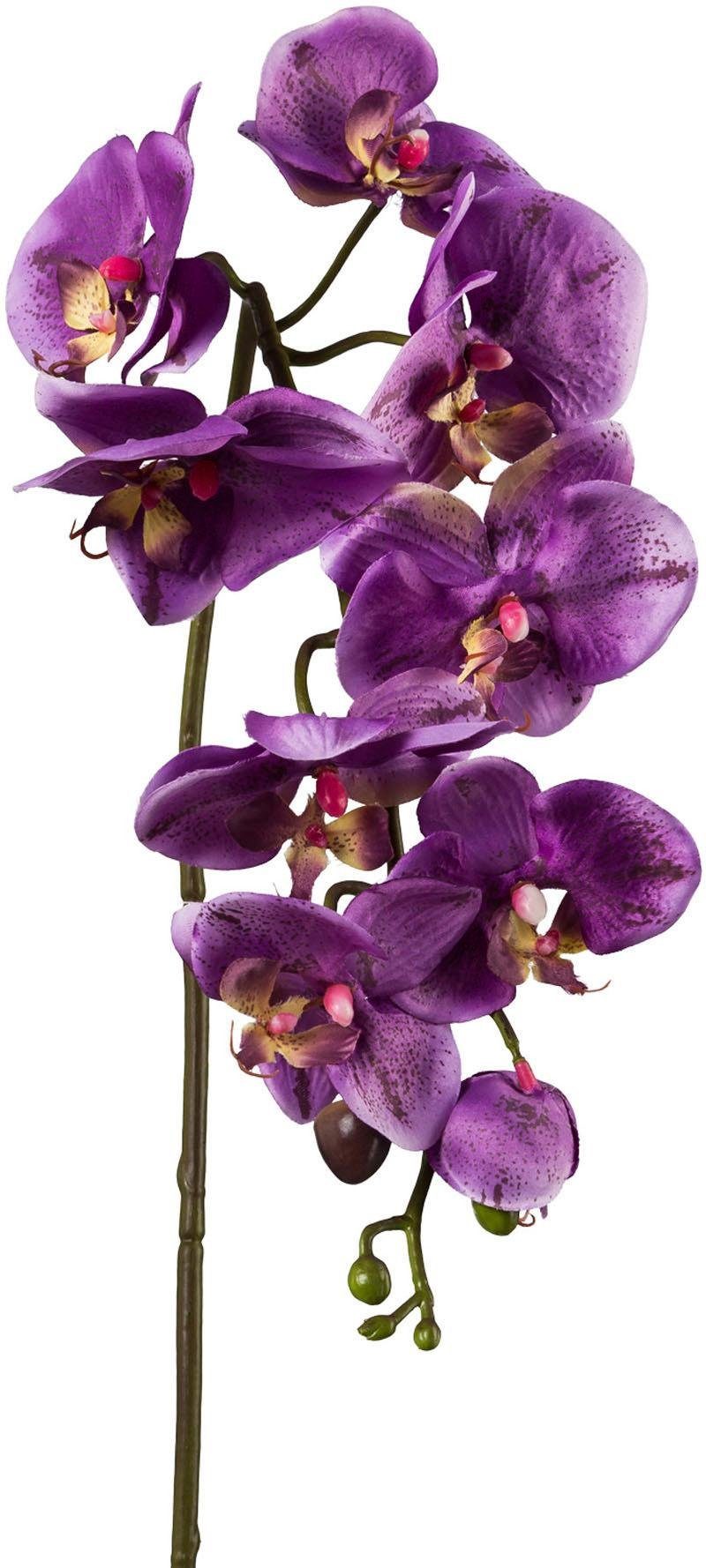 Kunstpflanze Orchidee, Creativ green, Höhe 98 günstig online kaufen