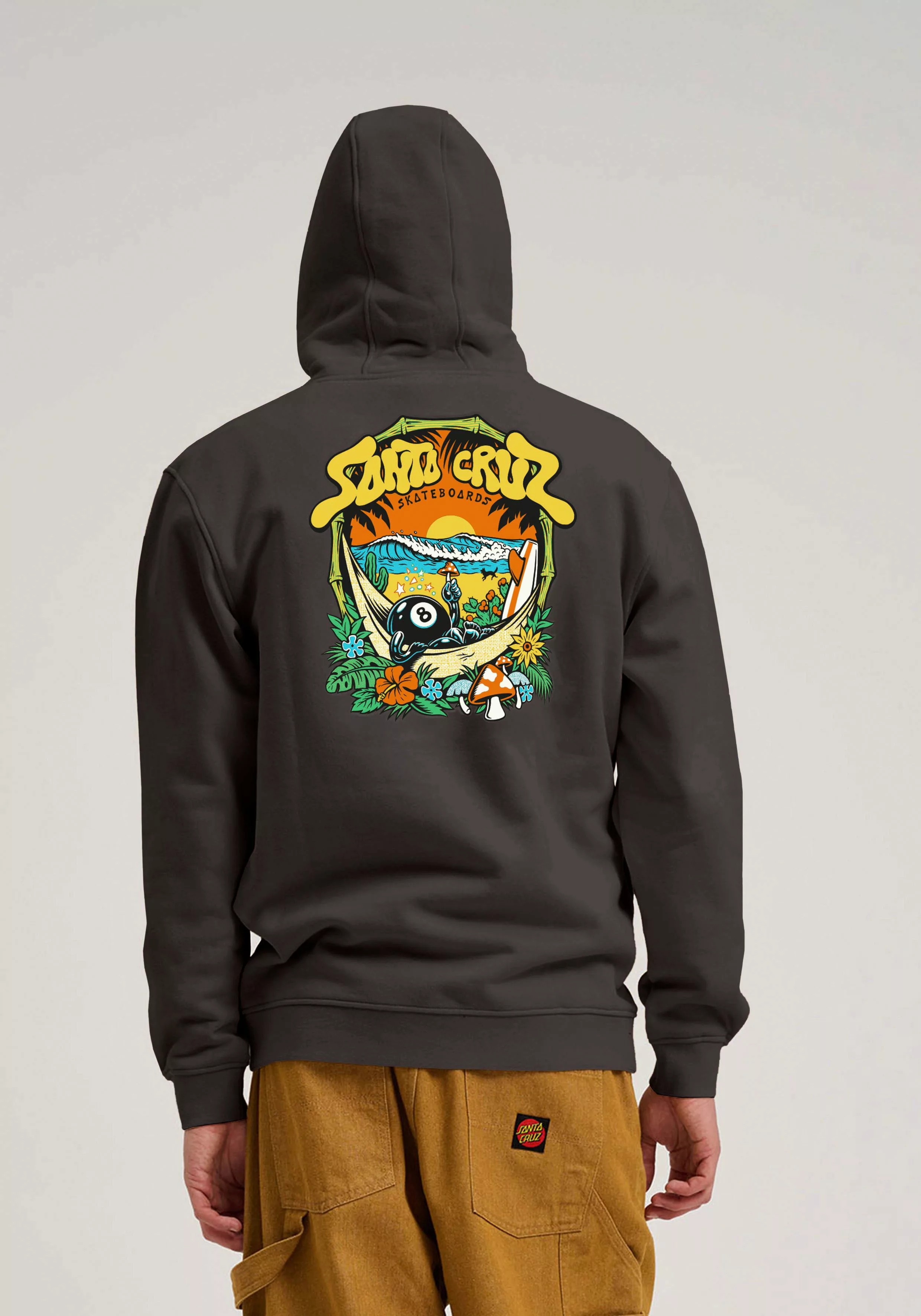 Santa Cruz Kapuzensweatshirt WINKOWSKI DOPE PLANET günstig online kaufen