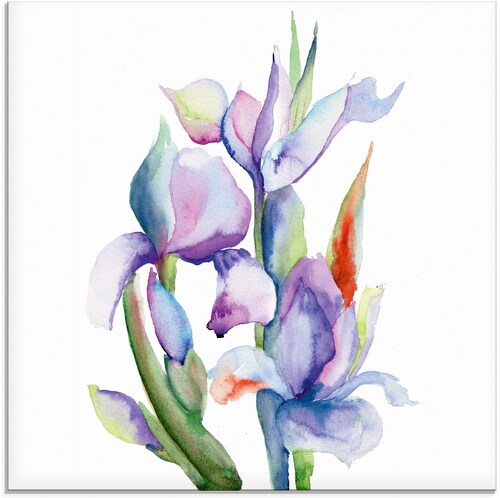 Artland Glasbild »Iris«, Blumen, (1 St.), in verschiedenen Größen günstig online kaufen